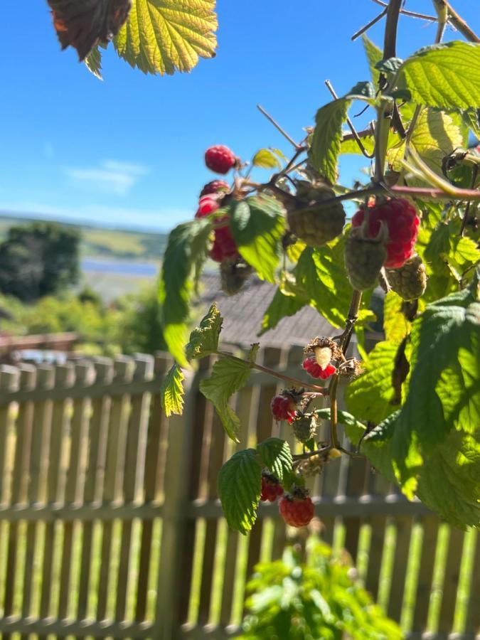 Апартаменты Black Isle View Дингуолл Экстерьер фото